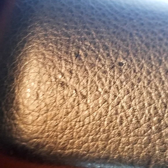 Alexander McQueen **Empty** Sunglasses Case. - Picture 7 of 8